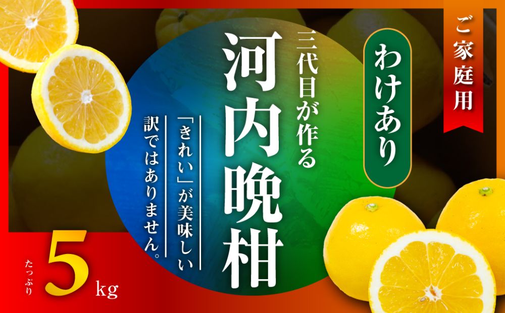 河内晩柑5kg【訳あり】【A31-50】【配送不可地域：離島】【1613967】 YWTAC039