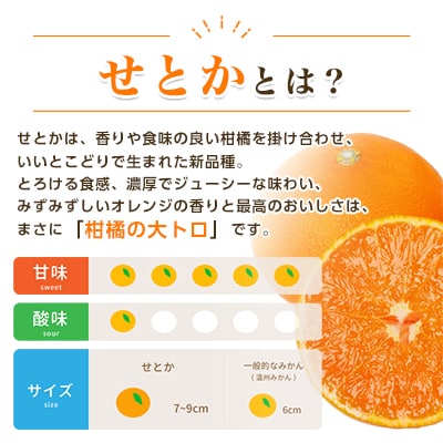 äžä»£ç®ã®ææ©ã®å€§ãããããšãã3kgãD31-6ããé
éäžå¯å°åïŒé¢å³¶ãã1071620ã