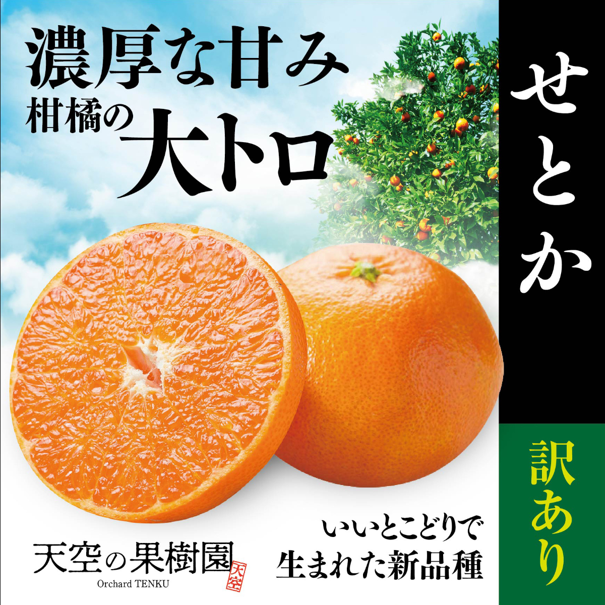 【先行受付】天空の果樹園から届く そらせとか (5kg)【訳あり】【D95-8】【1668516】 YWTAQ008