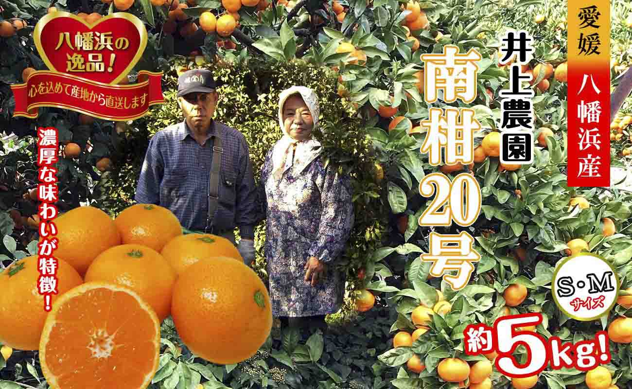 【先行受付】M、Sサイズでお届け・濃厚な味わい! 井上農園「南柑20号」約5kg 【C39-12】【1245424】 YWTF005