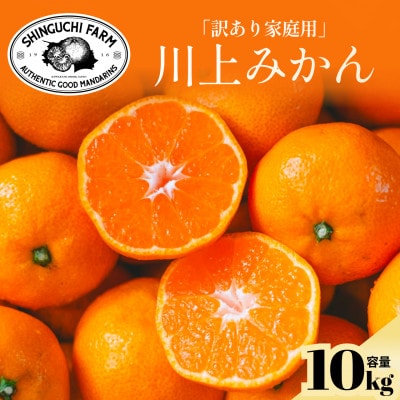 【天皇杯受賞産地】川上みかん10kg【訳あり】愛媛県八幡浜市【D70-38】【1536341】
