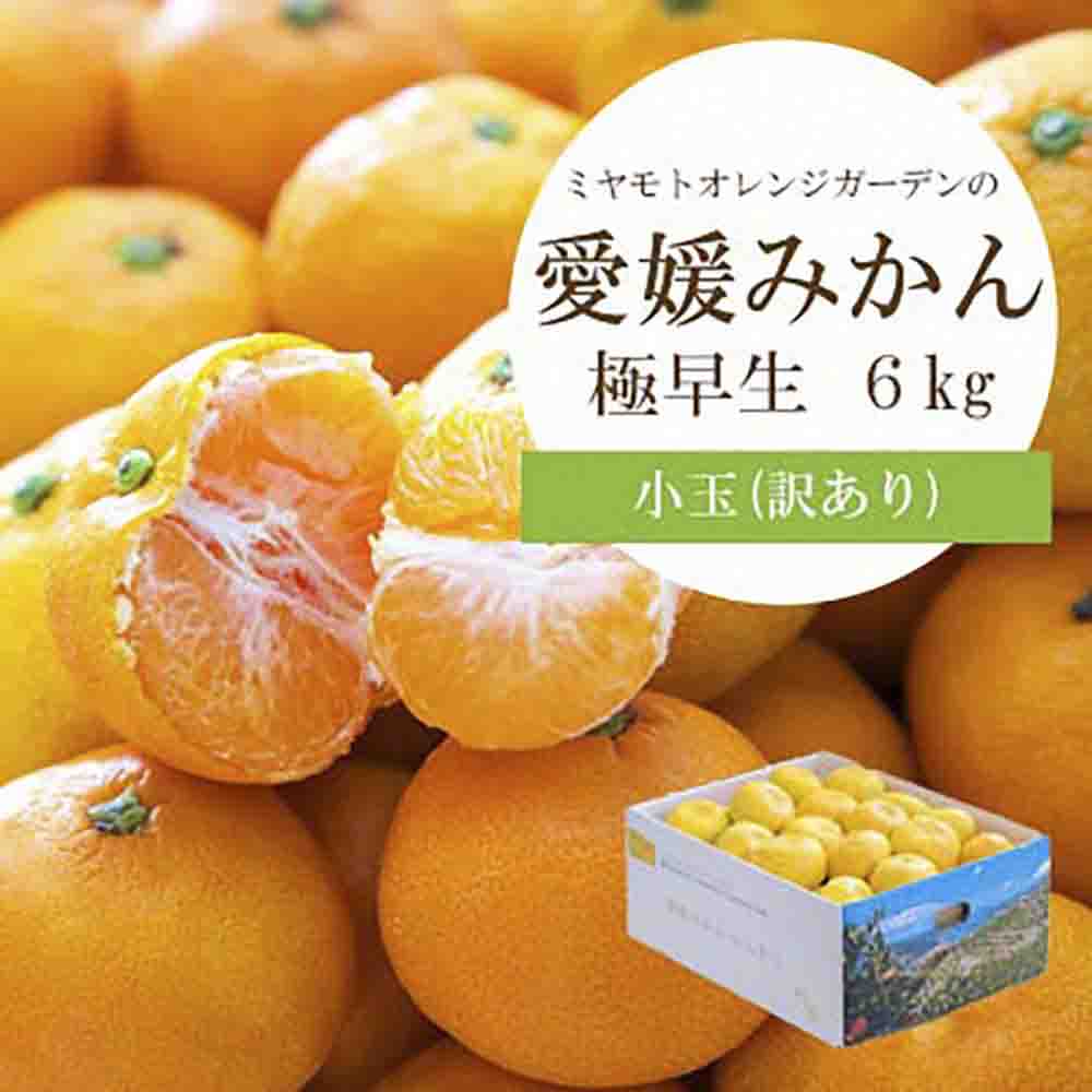 シーズン一番採り!極早生みかん 小玉6kg【訳あり】【C25-47】【1248092】 YWTAP030