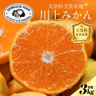 【天皇杯受賞産地】川上みかん 3kg【小玉】【愛媛県八幡浜市】新口農園厳選【A70-121】【1683965】