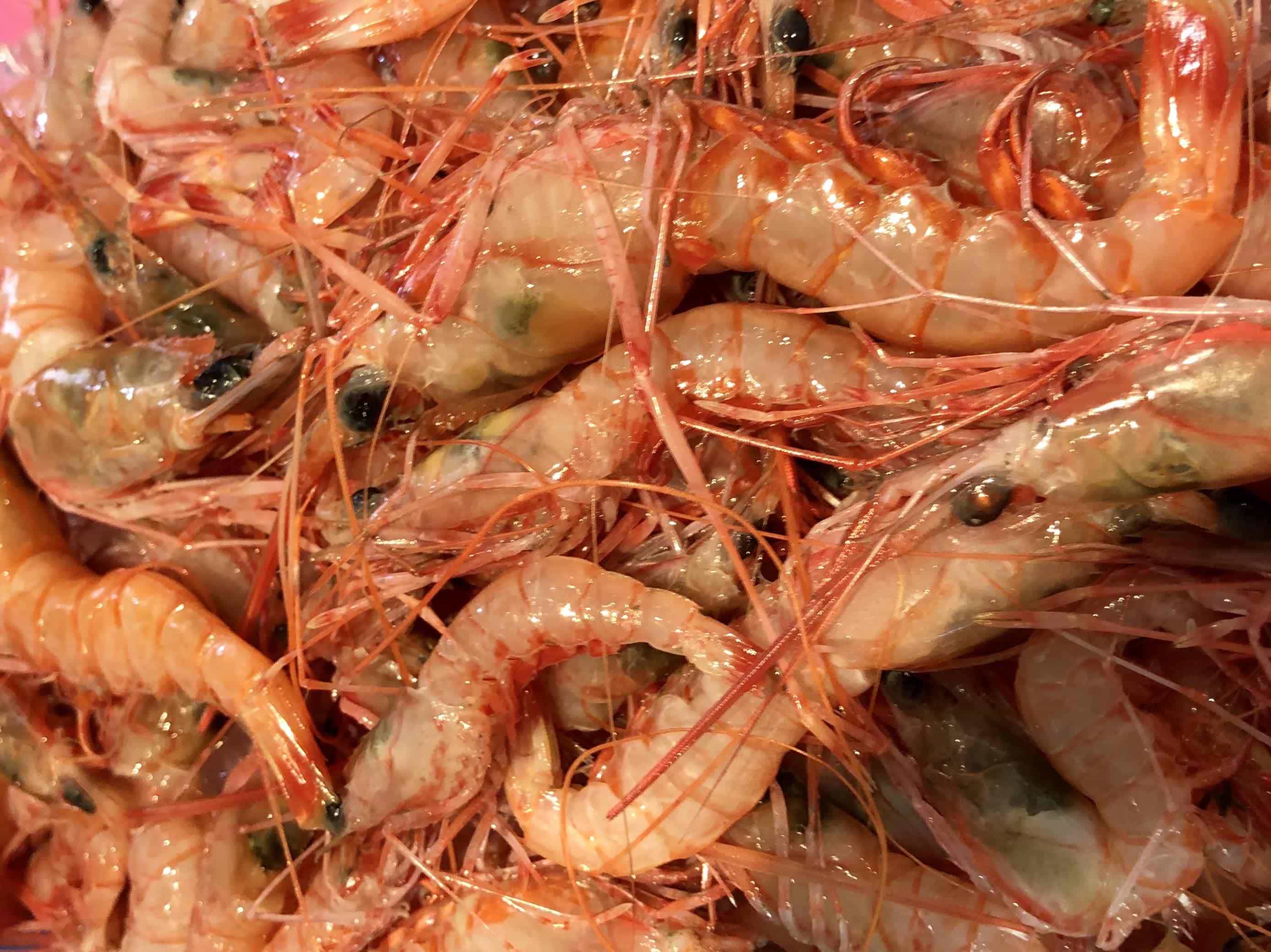 遶ケ荳ュ豌エ逕」縺ョ蝨ー豬キ閠(蜈ォ蟷。豬懃肇)2繧ュ繝ュ!縲色22-267縲代宣埼∽ク榊庄蝨ー蝓滂シ夐屬蟲カ縲代1083422縲 YWTM085