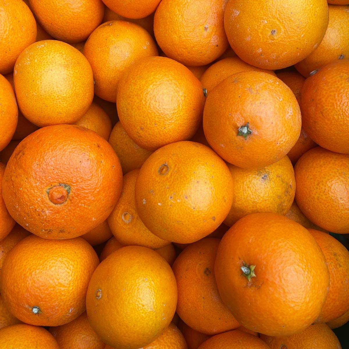 ãå
è¡åä»ãããå®¶åºçšãçŽ
ãŸã©ã㪠ãšååçš® æåªæè©Š28å· 3.5kg å
«å¹¡æµåžãD25-372ãã1717457ã YWTAP313