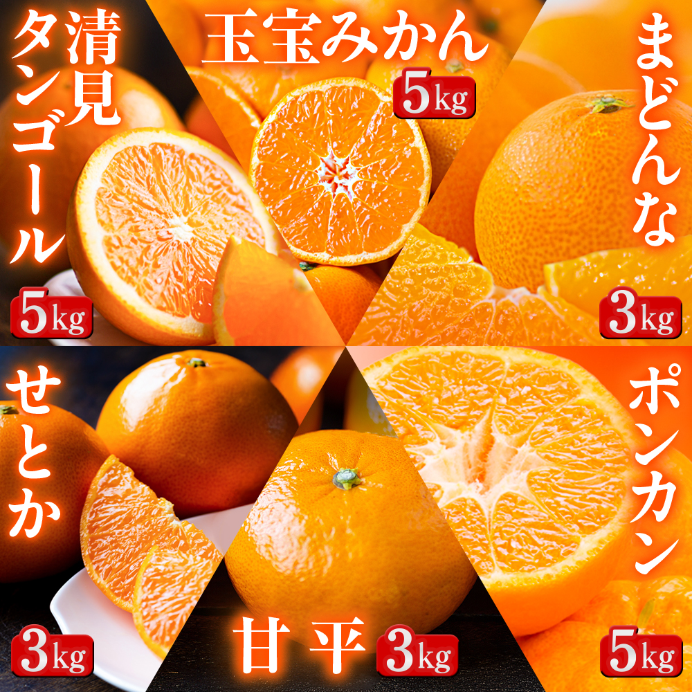 【発送月固定定期便】「蜜時(みつどき)便り」みかんやまどんな、甘平、せとかなど【H64-93】全6回【4069713】 YWTY082