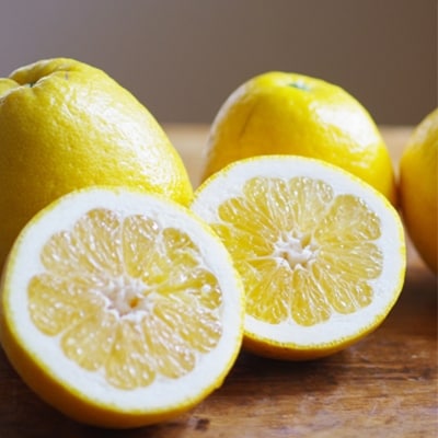 小林果園の河内晩柑(約5kg)【C24-26】【1124432】