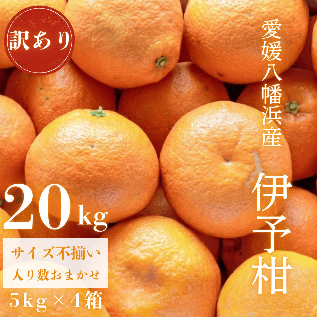 【爽やか香りと柔らかジューシーな果肉】愛媛八幡浜産 訳あり 宮内伊予柑 20kg【G20-92】【1625451】 YWTI087