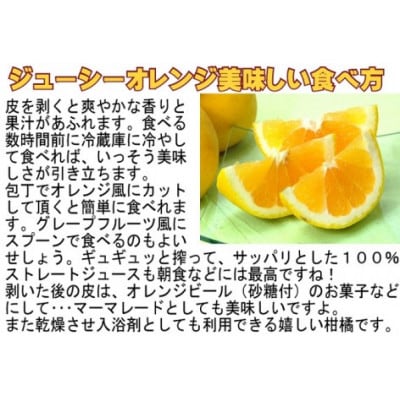 æåªçå
«å¹¡æµç£ã»ãžã¥ãŒã·ãŒãªã¬ã³ãž10kgãšææ©100%ã¹ãã¬ãŒããžã¥ãŒã¹3æ¬ãH35-27ãã1492225ã