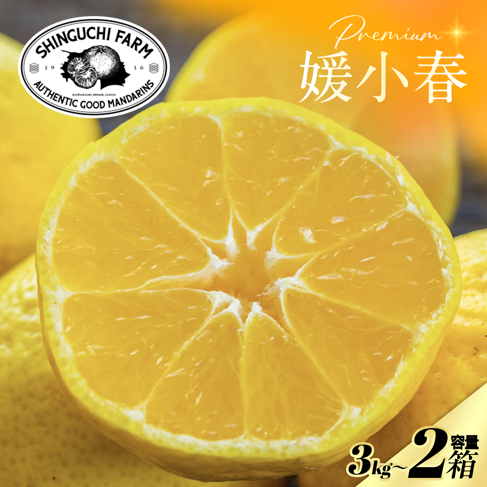【先行受付】老舗農家が見極めたプレミアム【媛小春3kg×2箱】 愛媛県新品種【H70-118】【1683931】 YWTK117