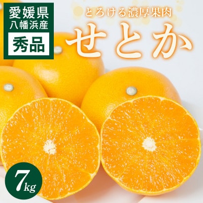 せとか 7kg 愛媛県 八幡浜市 西宇和地区 とろける濃厚果肉 柑橘の女王【H25-327】【1714496】