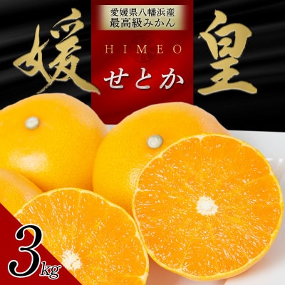 最高級みかん 媛皇 せとか 3kg 愛媛県 八幡浜市 西宇和地区 柑橘の女王【D25-308】【1713683】