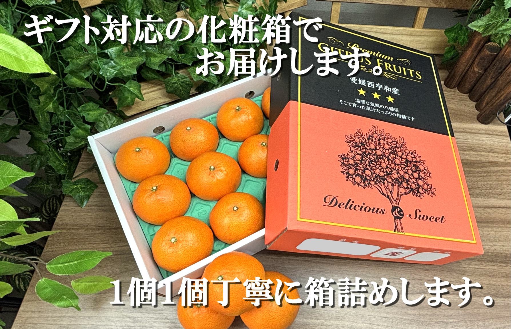 2027年2月〜順次発送　柑橘の大トロ「せとか」約3kg  【D39-6】【1262187】 YWTF001
