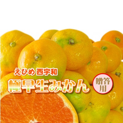 みさき果樹園の極早生みかん5kg【C21-35】【1613814】