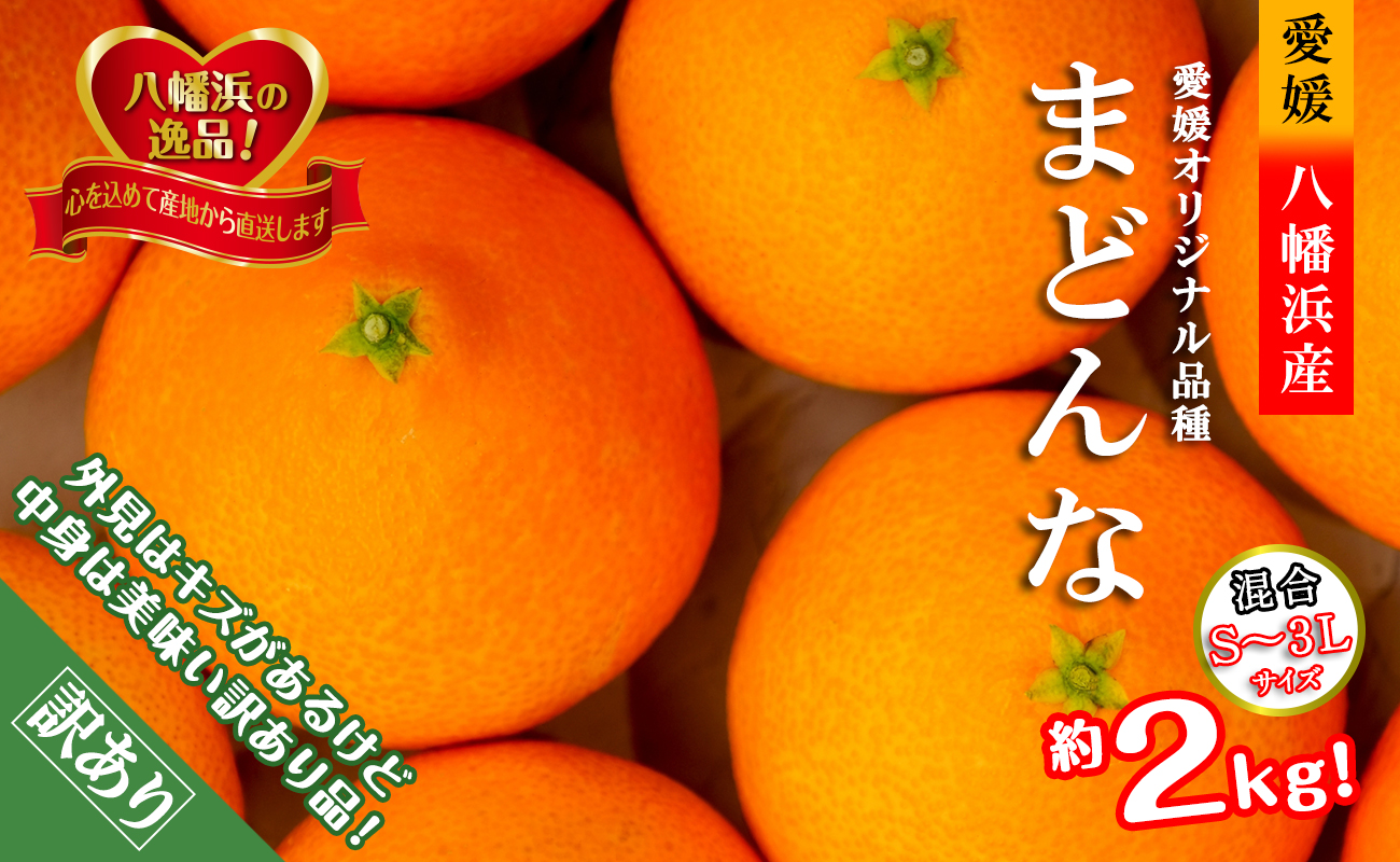 【先行受付】ぷるぷる食感!!「まどんな」約2キロ【訳あり・家庭用】【C39-58】【配送不可地域：離島】【1512437】 YWTF033