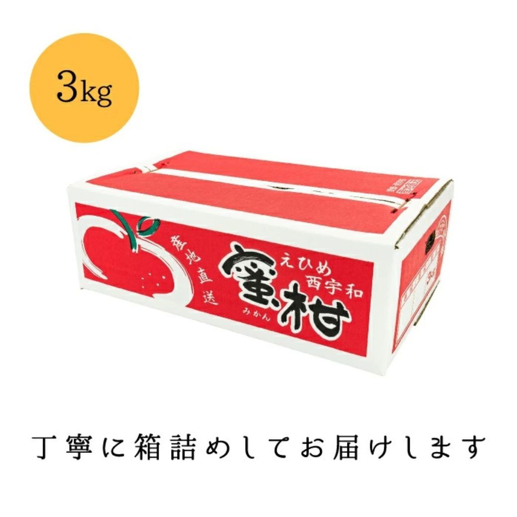 【創業85年 親子4代 愛媛みかん 一筋】愛媛八幡浜産 訳あり 極早生みかん 3kg【A20-45】【1594912】 YWTI040