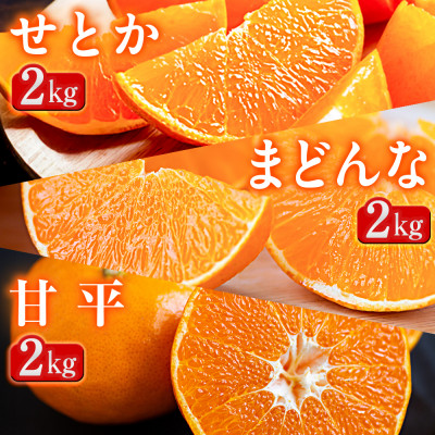 【発送月固定定期便】「蜜時(みつどき)便り」高級3品種　まどんな+甘平+せとか【H64-91】全3回【4069711】