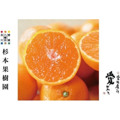 【家庭用】真穴、八寿みかん(南柑20号)3kg【A34-39】【1692444】