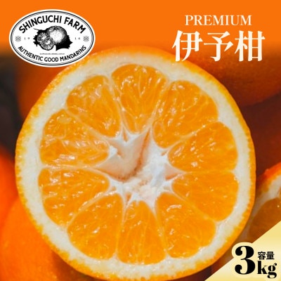 老舗農家が見極めたプレミアム【伊予柑3kg】【愛媛県川上産】【C70-94】【1671254】