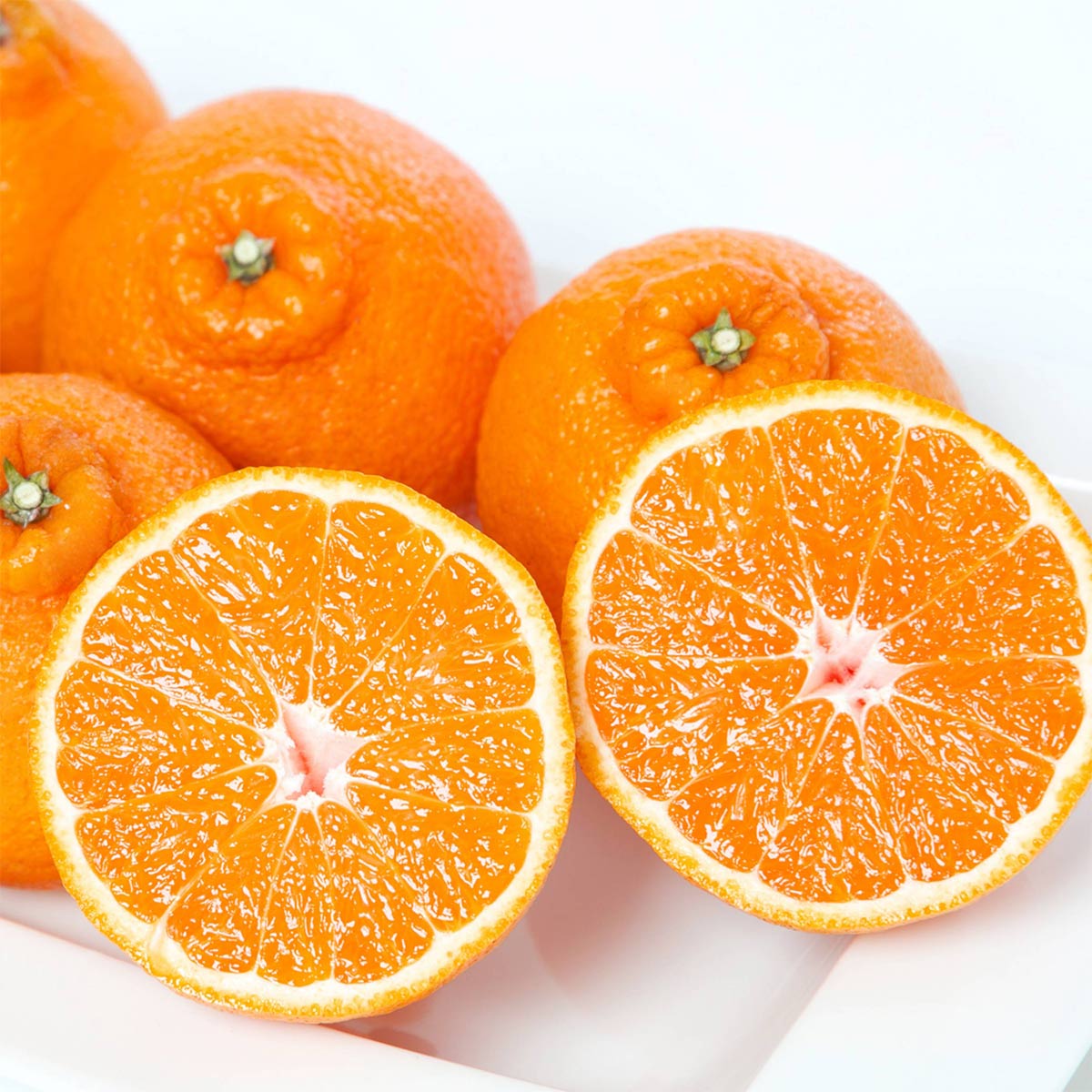 ãå
è¡åä»ãäžç¥ç« 4kg ã¿ãã æåªç å
«å¹¡æµåž 西å®åå°åº æ¿åãªææ©ãC25-373ãã1718367ã YWTAP314