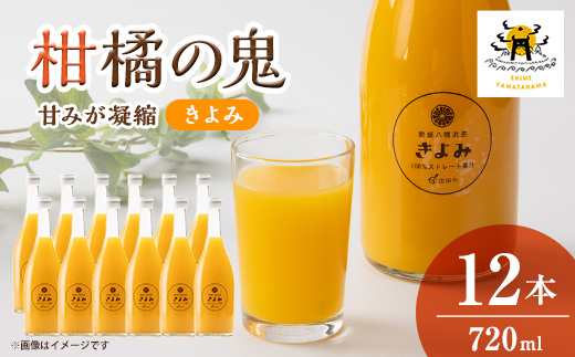 きよみジュース　720ml×12本【H56-78】【1668621】