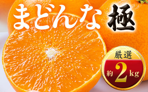 「夕やけブランド」ぷるぷる食感【まどんな】2kg　※紅まどんな と同品種　【D49-39】【1508951】