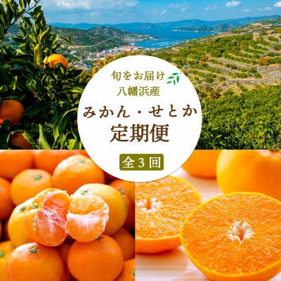 【発送月固定定期便】【訳あり】みかん大玉8kg×みかん7kg×せとか3kg【H25-280】全3回【4071369】