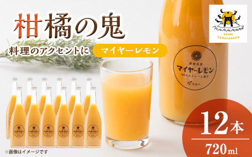 愛媛八幡浜産レモンストレート果汁720ml×12本【H56-87】【1668740】