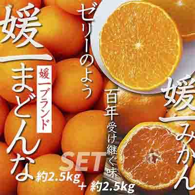 【先行受付】「媛一みかん」と「媛一まどんな」の2品種・約5kg【C28-29】【1119673】 YWTN021
