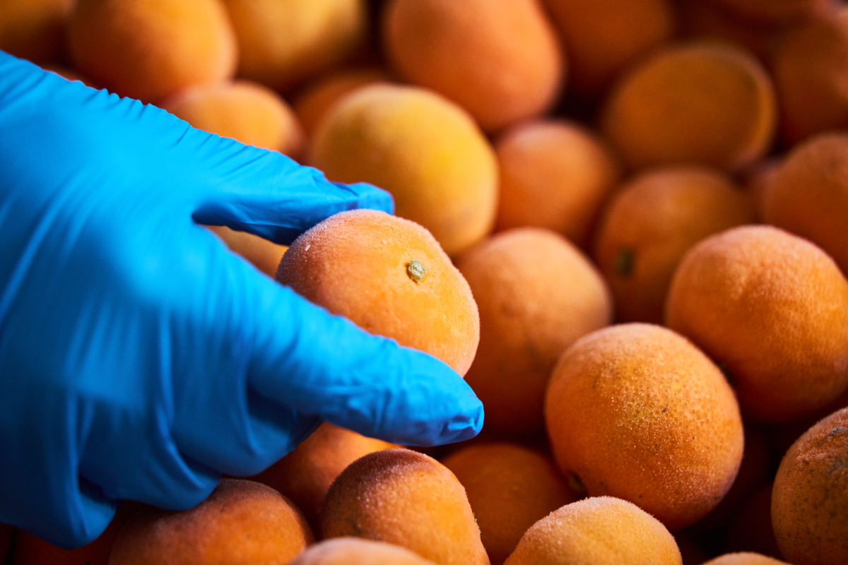 “ひんやり天然スイーツ”えひめの冷凍みかん6袋セット(ハローキティパッケージ)【C28-35】【配送不可地域：離島】【1144774】 YWTN023