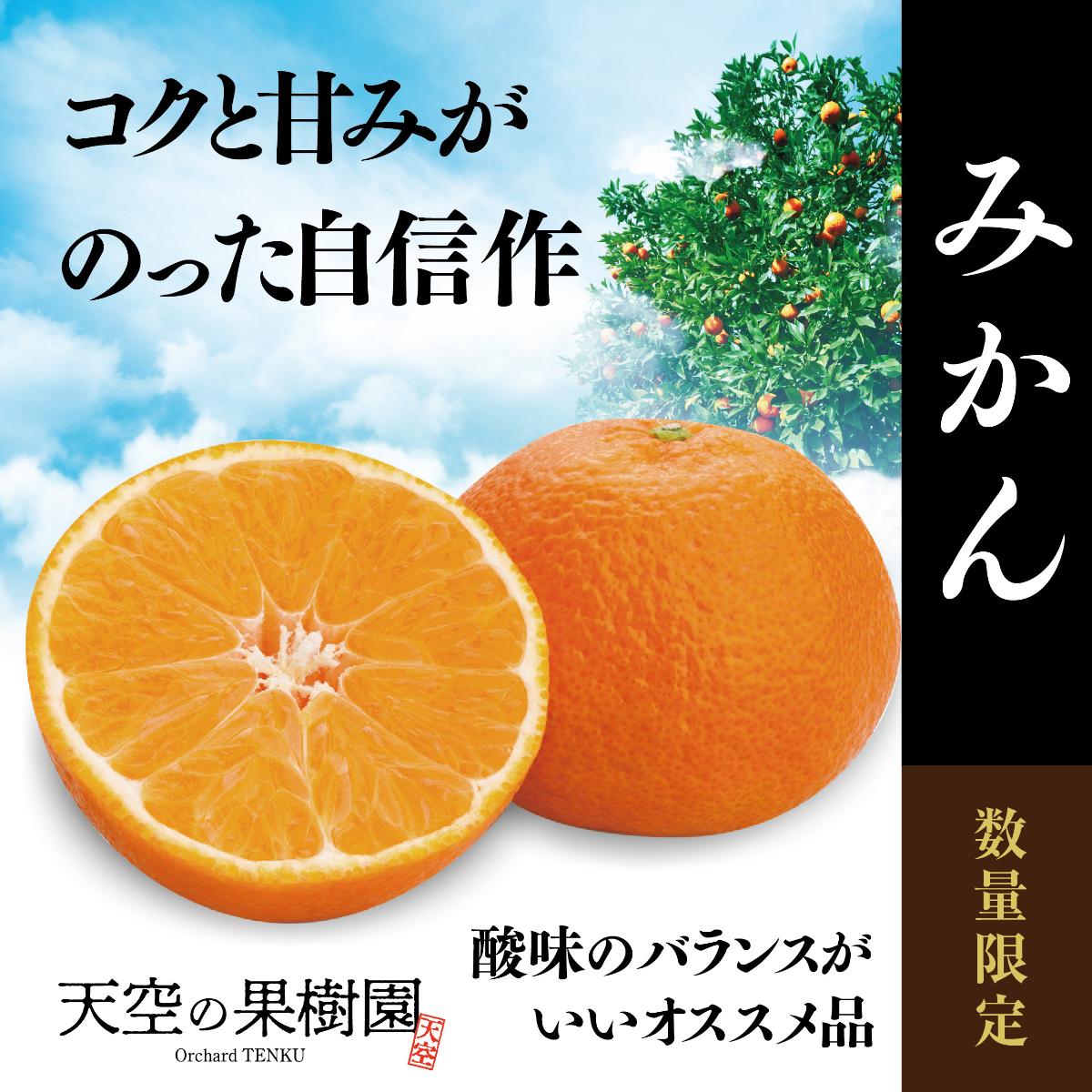 【先行受付】【天空の果樹園】そらみかん (5kg)【D95-2】【1339405】 YWTAQ002