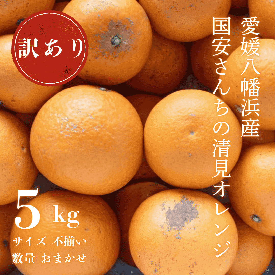 【まるで食べるジュース!越冬完熟品】愛媛産 訳あり 清見オレンジ 5kg【C20-33】【1594859】 YWTI028