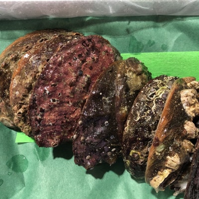 ç«¹äžæ°Žç£ã®å奜ã®å€§åã¢ã¯ã(2kgååŸ)!ãH22-230ããé
éäžå¯å°åïŒé¢å³¶ã»åæµ·éã»æ²çžçãã1060854ã