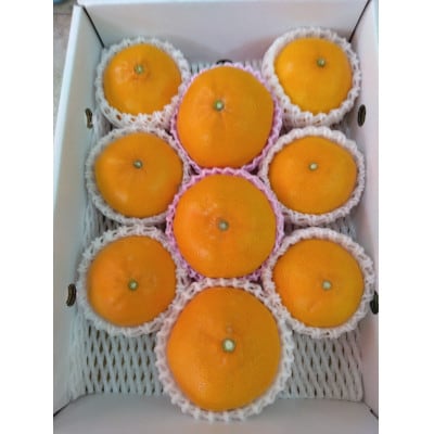 せとか【家庭用】約3kg【D76-16】【1593330】