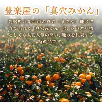 【砂糖・保存料・甘味料すべて不使用】愛媛みかんジュース「天凪」　720ml　6本【H98-4】【1711271】