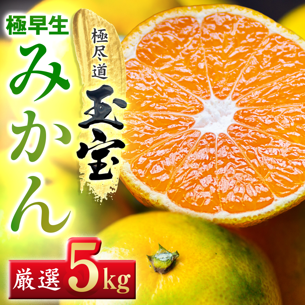 【愛媛名産】極早生みかん 5kg【C64-19】【1510673】 YWTY008