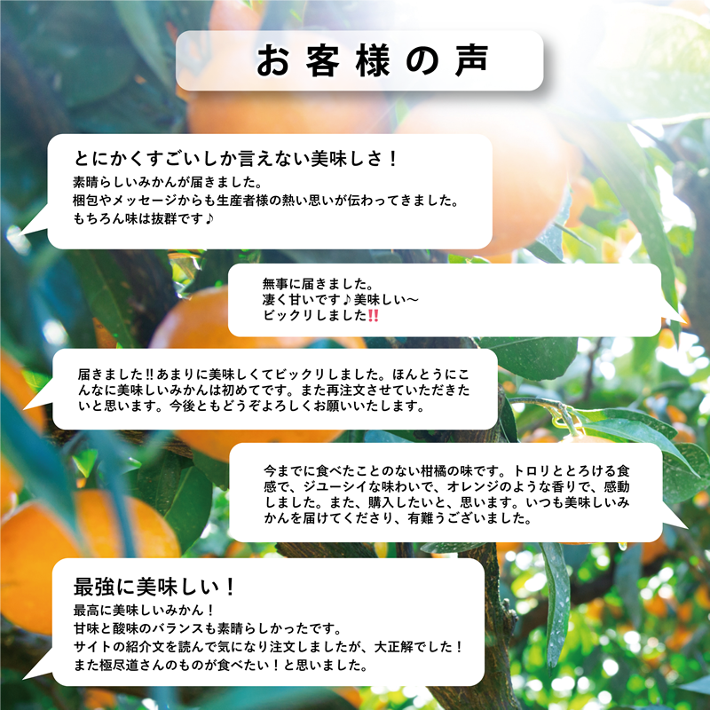 「玉宝ブランド」【甘平】3kg【E64-44】【1511358】 YWTY033