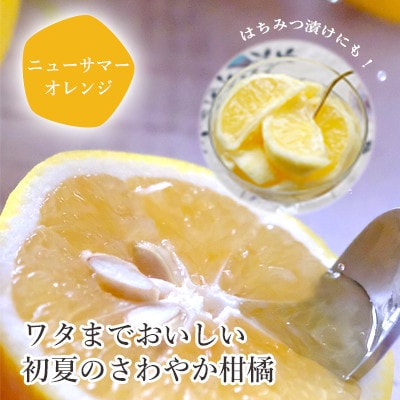 【2026年4月下旬頃出荷】ワタまでおいしい ニューサマーオレンジ 3kg【C25-212】【1612591】