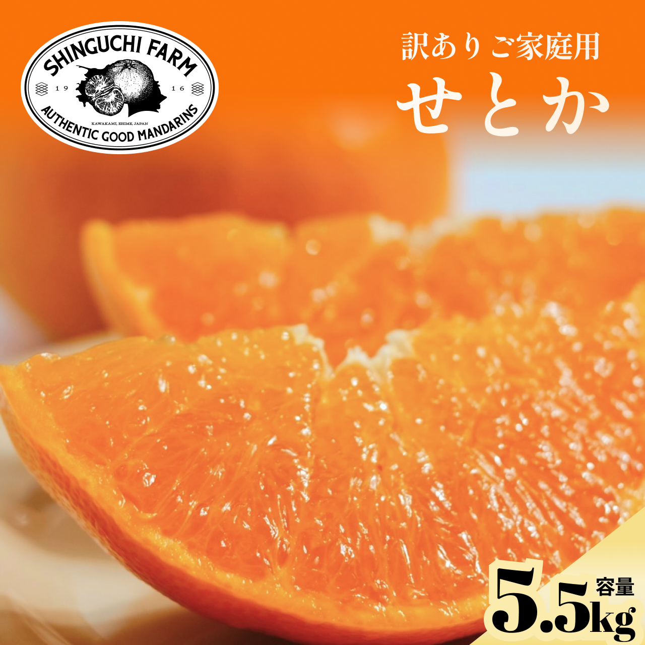【数量限定】【訳あり】せとか 5.5kg【D70-157】【1707147】 YWTK156