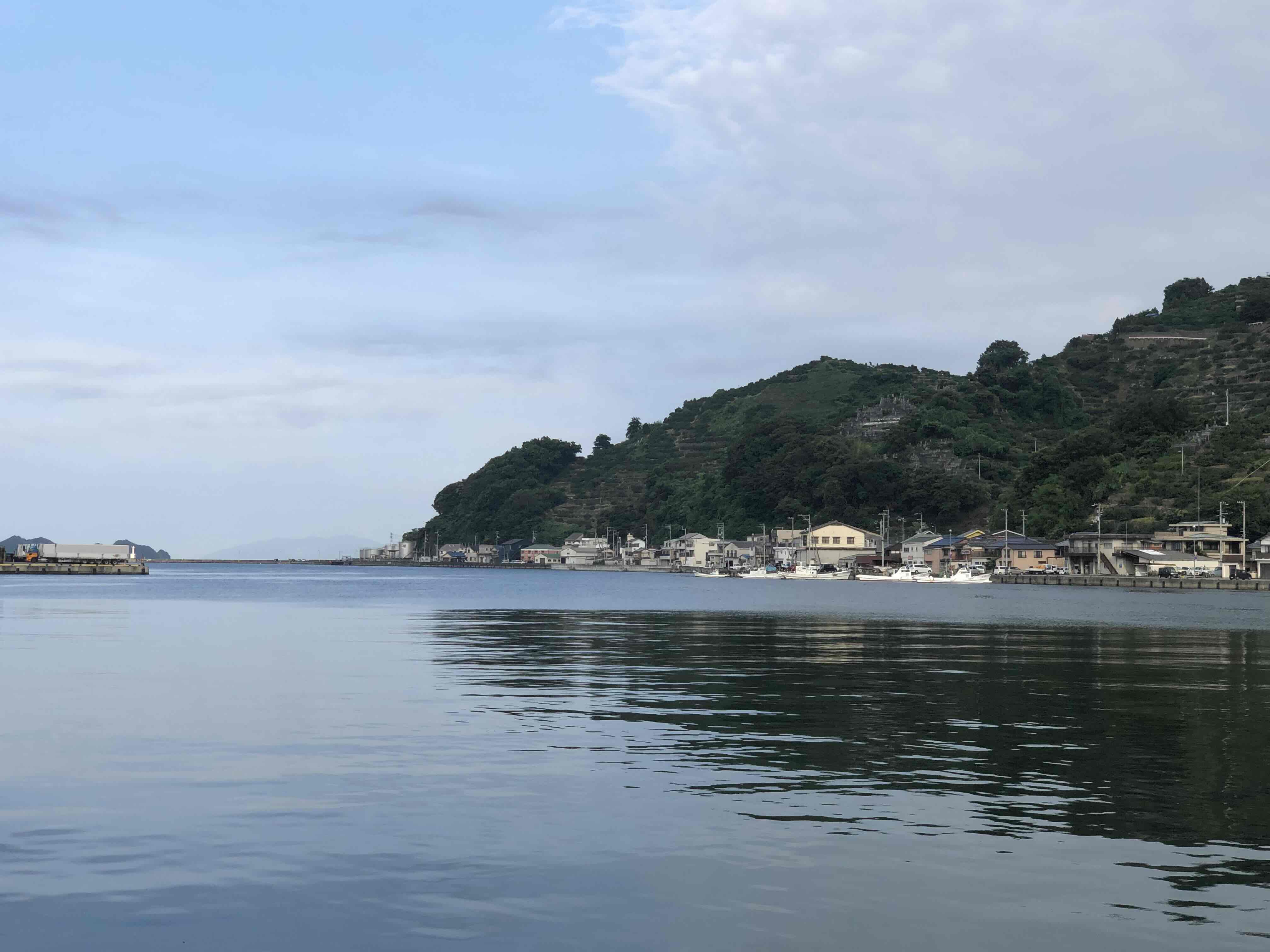 竹中水産の一押し「お任せ鮮魚!」2.5キロ前後【G22-237】【配送不可地域：離島・北海道・沖縄県】【1073398】 YWTM055