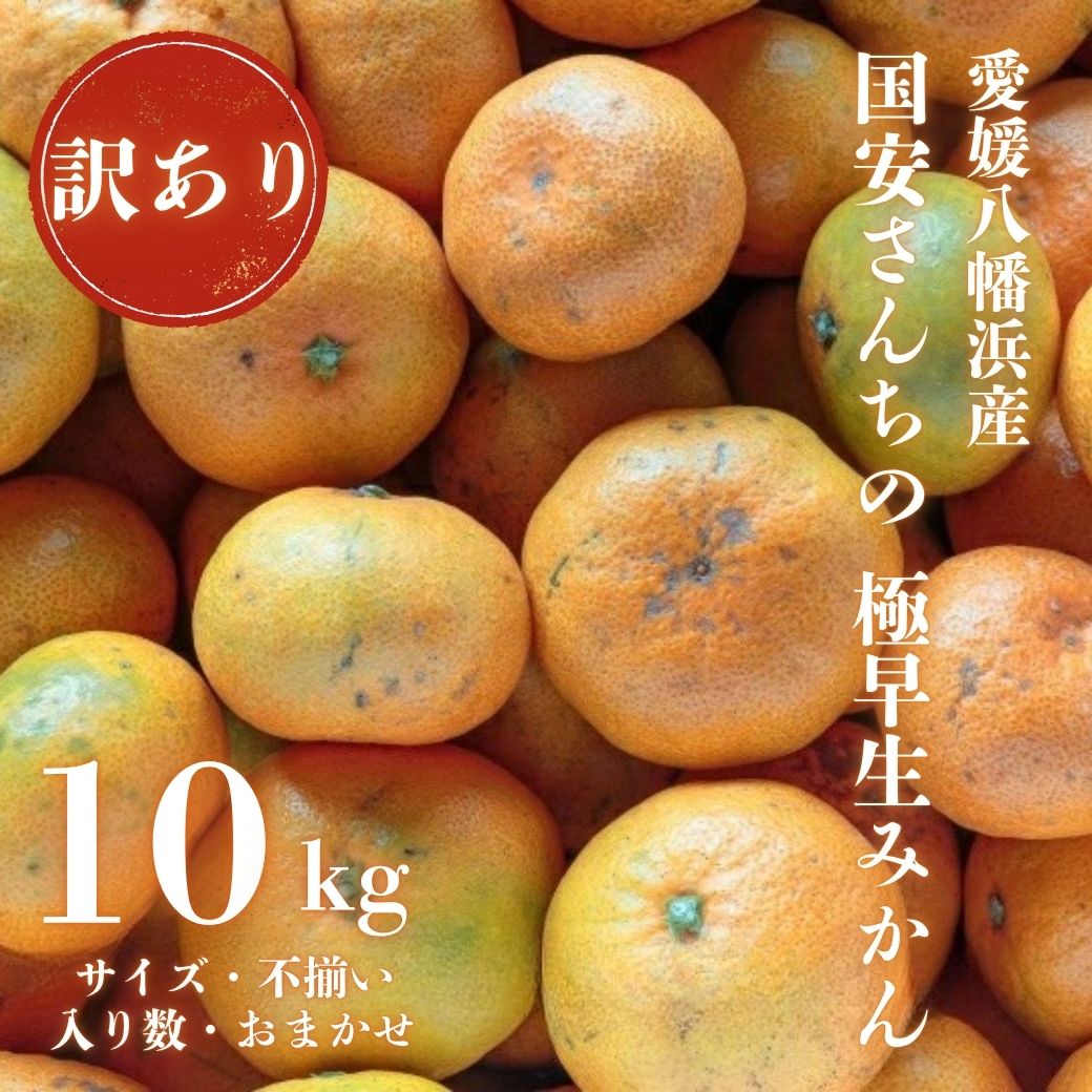 【創業85年 親子4代 愛媛みかん 一筋】愛媛八幡浜産 訳あり極早生みかん 10kg【D20-47】【1594916】 YWTI042