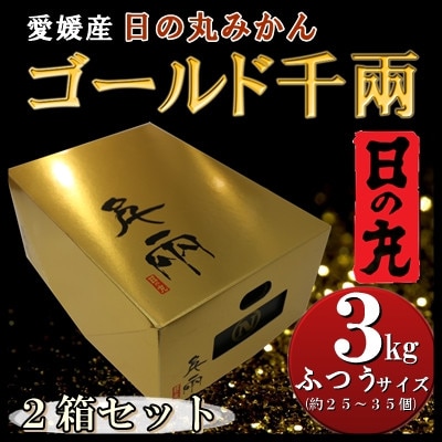 日の丸みかん「ゴールド千兩」3kg　サイズLまたはM/約25〜35個/2箱/高糖度【F79-3】【1452025】
