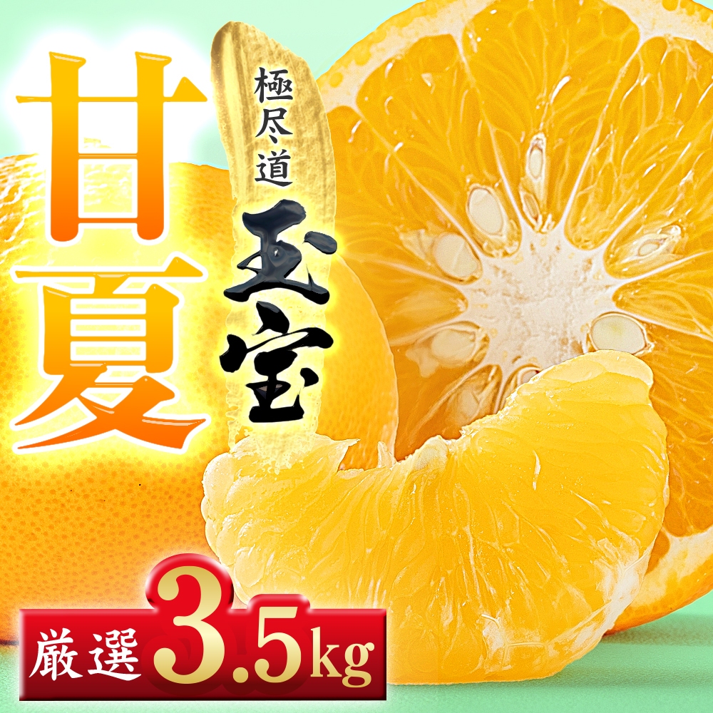 【愛媛名産】玉宝甘夏　3.5kg【C64-73】【1621818】 YWTY062