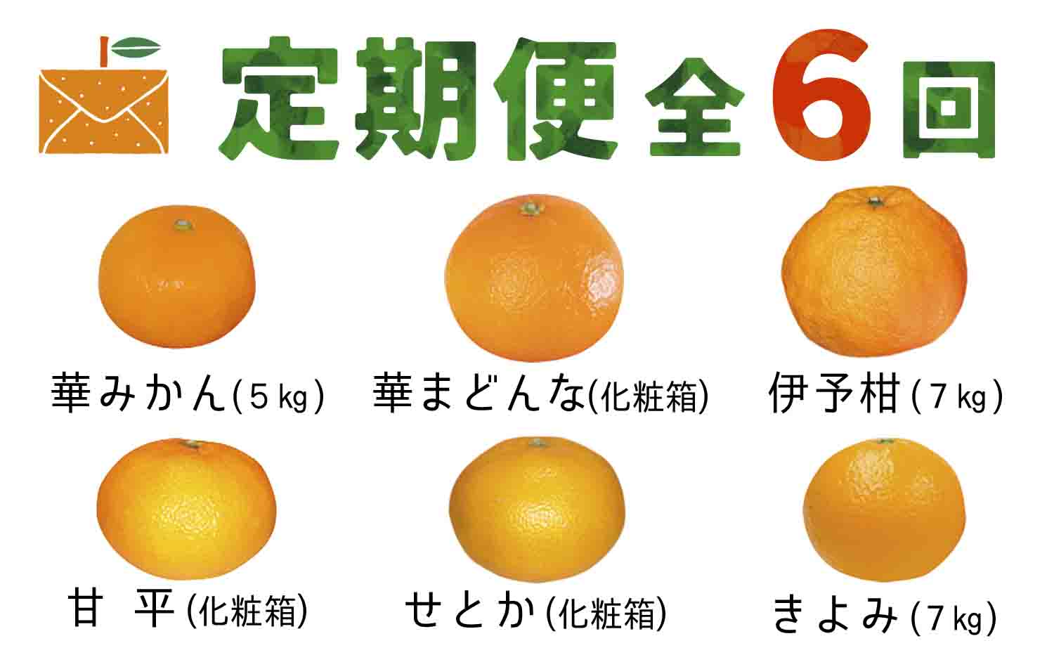 【発送月固定定期便】コウ果樹園の旬の柑橘定期便(11月-4月)【H33-40】全6回【4052188】 YWTG022