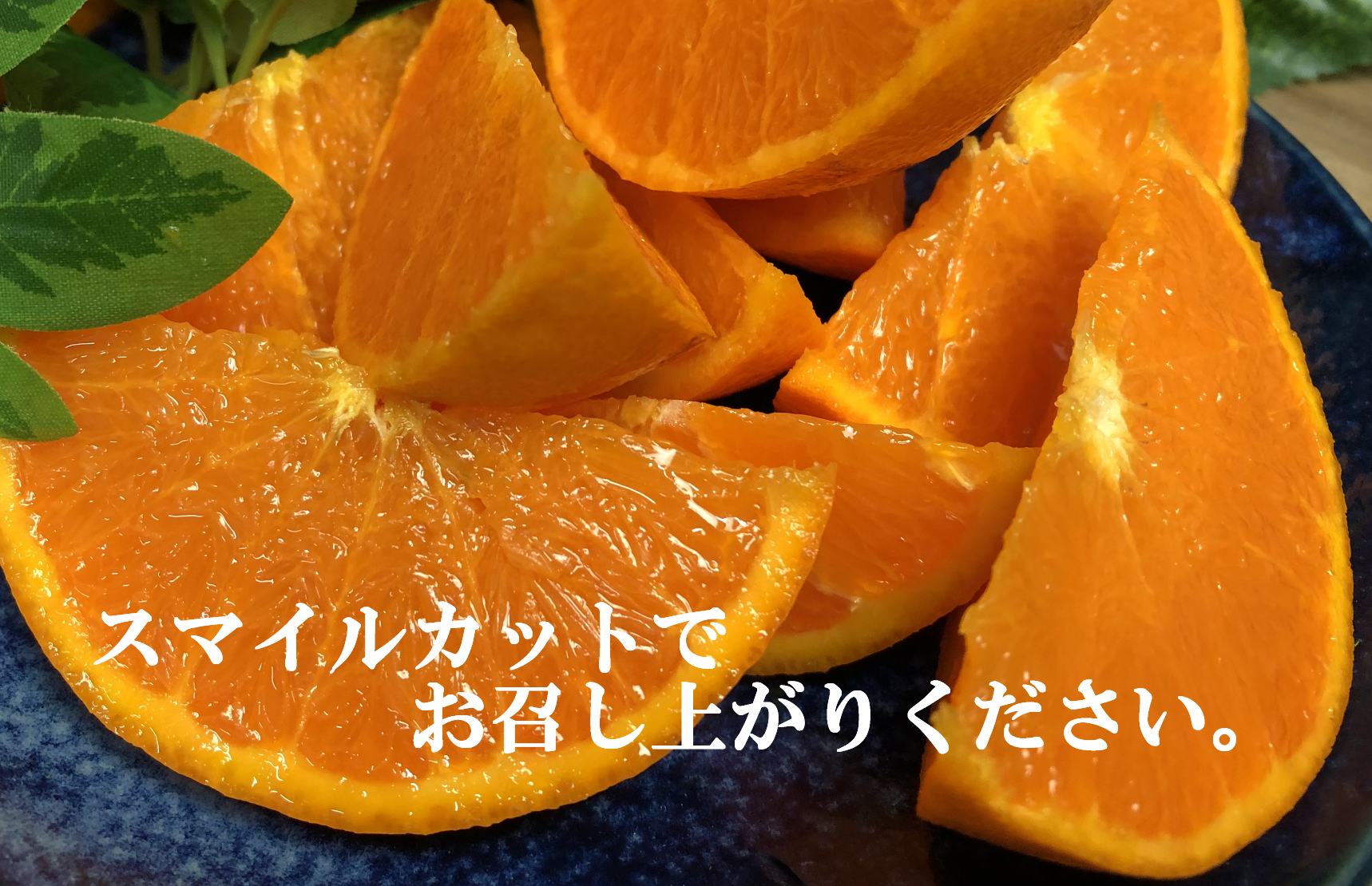 2026年11月発送開始　ぷるぷる食感!「 まどんな 」約3.5 キロ【 訳あり 】【D39-44】【配送不可地域：離島】【1419628】 YWTF022
