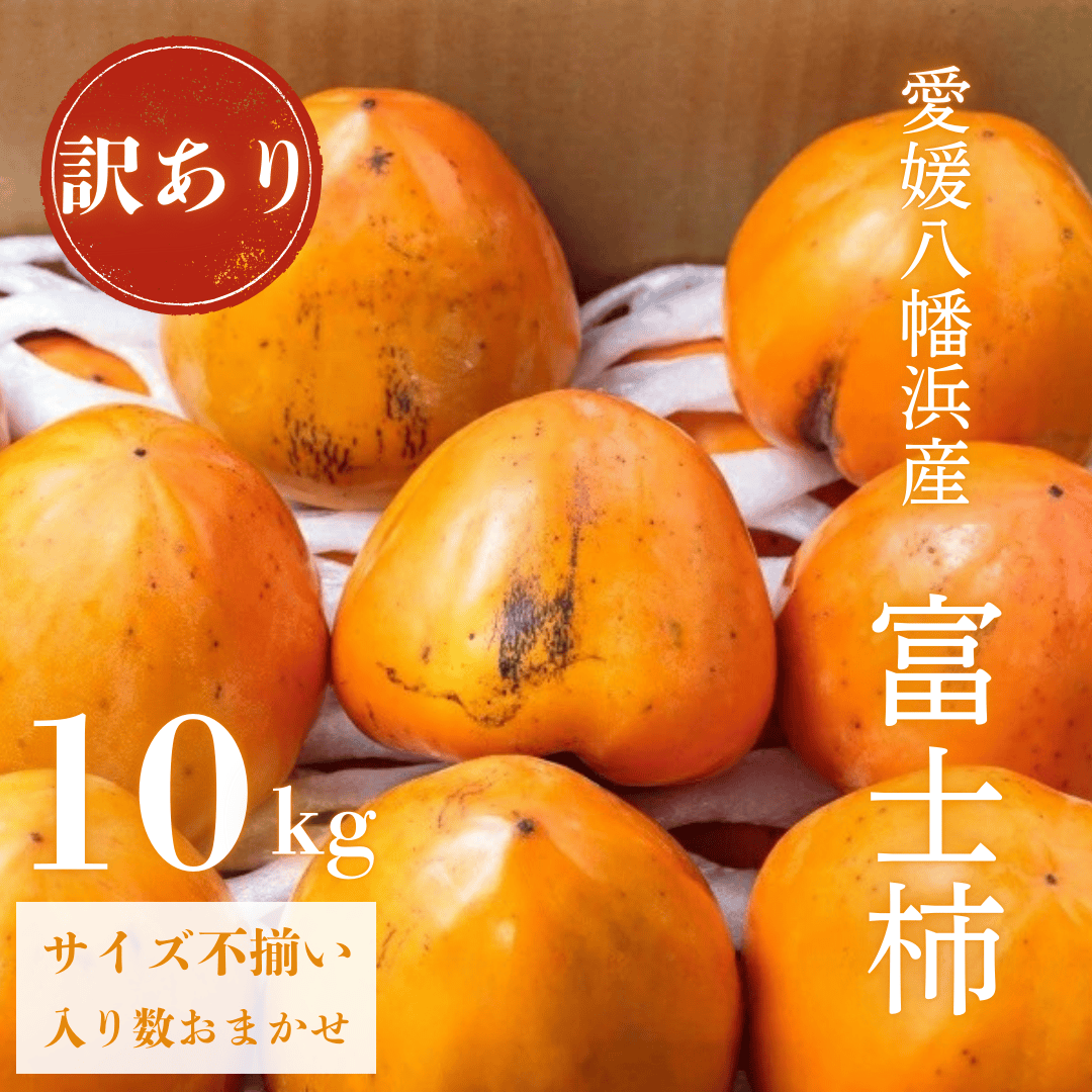 《八幡浜特産 国内最大級の 柿》 富士柿 10kg 種無し【訳あり】【F20-22】【1094601】 YWTI018