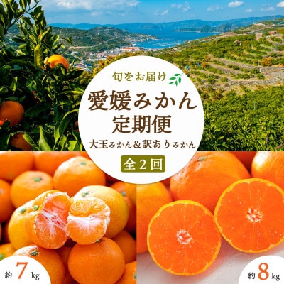 【発送月固定定期便】愛媛みかん大玉8kg(訳)×愛媛みかん7kg(訳)【E25-254】全2回【4070903】