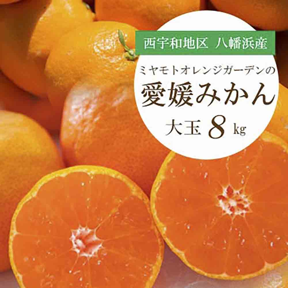 大玉サイズのみ厳選!八幡浜産 愛媛みかん8kg【訳あり】【C25-142】【1166254】 YWTAP085