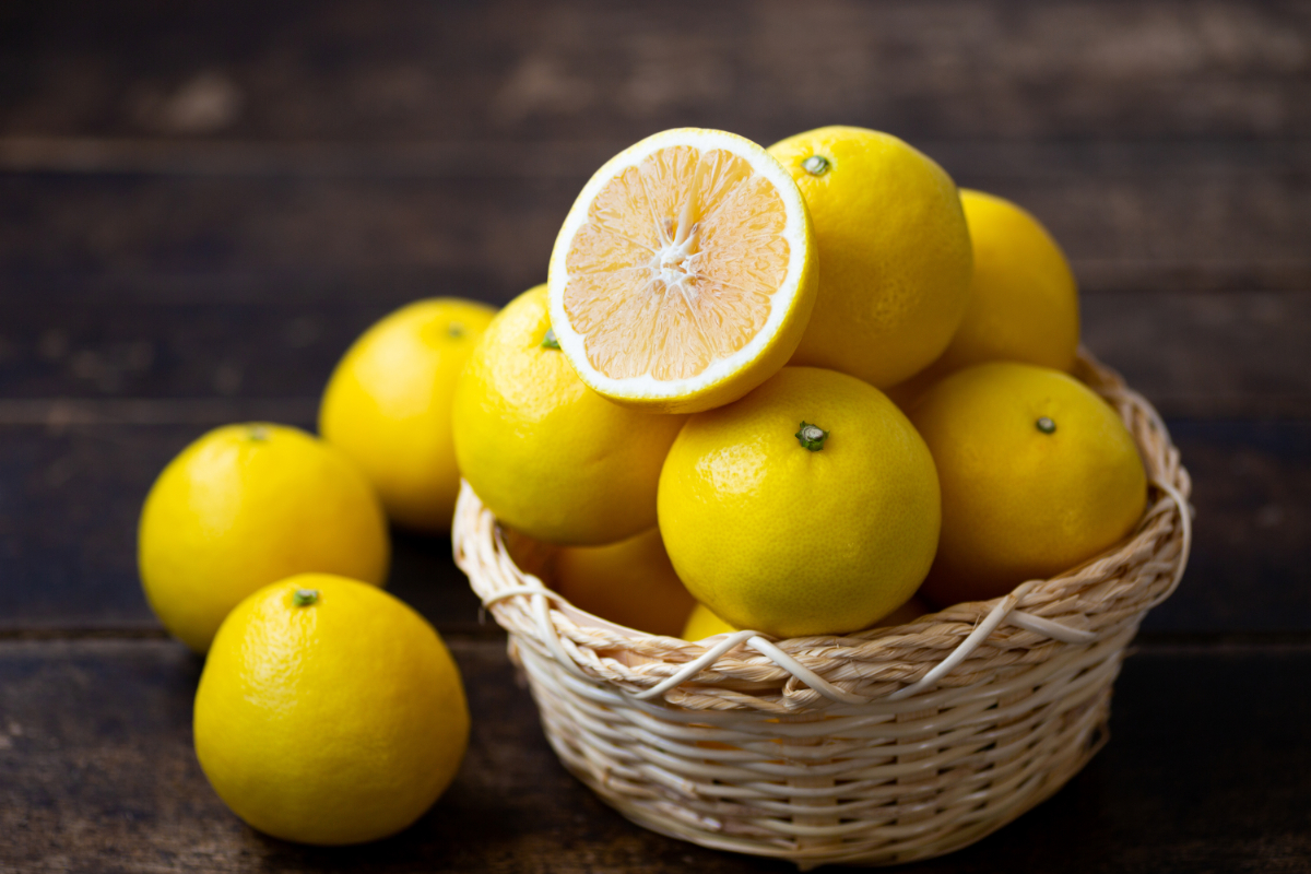 【愛媛名産】玉宝ニューサマーオレンジ　10kg【H64-39】【1510857】 YWTY028