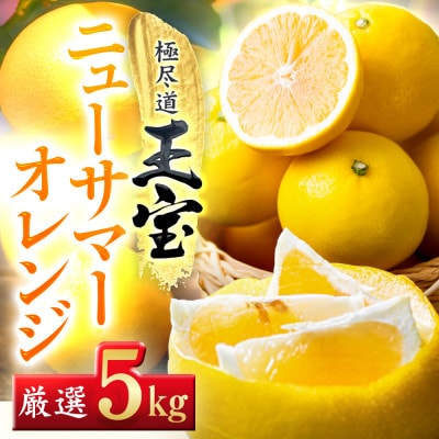 【愛媛名産】玉宝ニューサマーオレンジ　5kg【E64-38】【1510842】